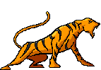 felino immagini-animate-gif